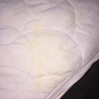 Norfolk Waterside Marriott - Stains all over the mattress cover. BI don't care if it's covered by a sheet - replace things like this or bleach it! - Hotels Near Me - Norfolk, Virginia Norfolk Waterside Marriott - Stains all over the mattress cover. BI don't care if it's covered by a sheet - replace things like this or bleach it! - Hotels Near Me - Norfolk, Virginia