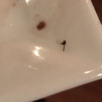 Melograno - Service was terrible. We found 14 fruit flies in our balsamic vinegar. - Italian Near Me - Philadelphia, Pennsylvania