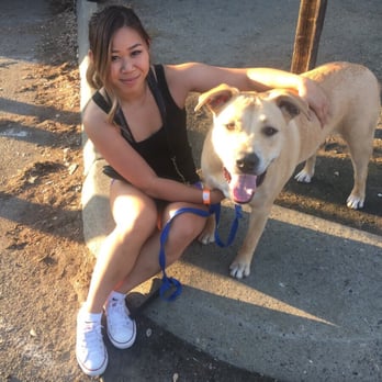 SactoMofo - my dog wants all the food - Food Trucks Near Me SactoMofo - my dog wants all the food - Food Trucks Near Me