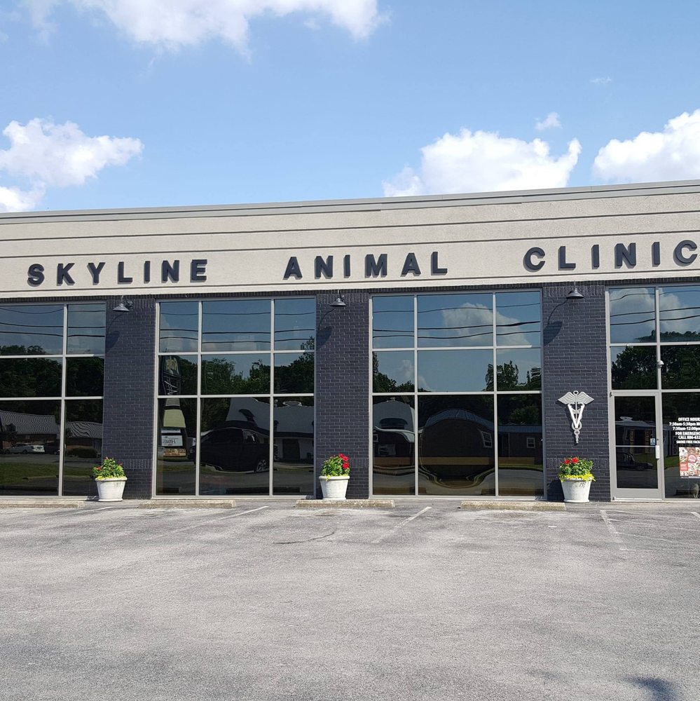 SKYLINE ANIMAL CLINIC Updated August 2024 1233 Skyline Dr