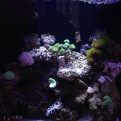 Underwater Wisdom