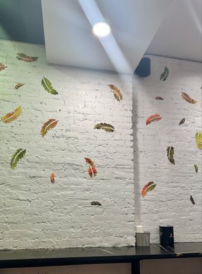 Fluffies Hot Chicken - LES by null