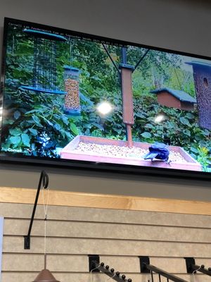 Wild Birds Unlimited