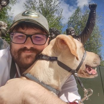 Sit Service Dogs - Pet Training Near Me - Ava, Illinois