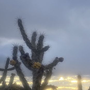 Little Cloud Park - Parks Near Me - Albuquerque, New Mexico