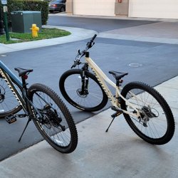 Incycle Bicycles - Different angle of our beautiful bikes