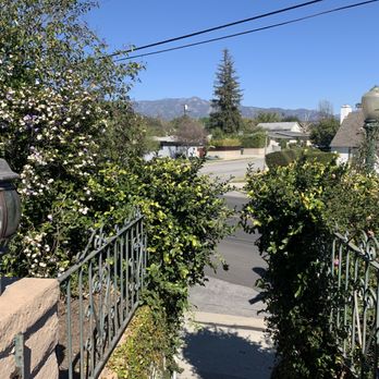 White Valley Tree Services - Before - Tree Services Near Me - pasadena , California White Valley Tree Services - Before - Tree Services Near Me - pasadena , California