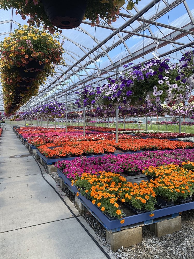 JUSKO’S GREENHOUSE 15 Photos 29615 Armada Ridge Rd, Richmond, MI Yelp