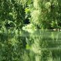 Photo of Schwammerlweiher