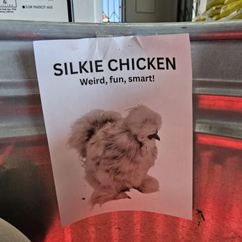 Valley Pet & Supply - Silkie Chickens - Pet Stores Near Me - La Puente, California