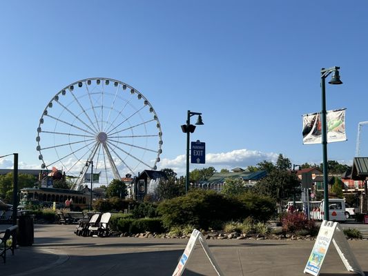 Margaritaville Restaurant - Pigeon Forge by null