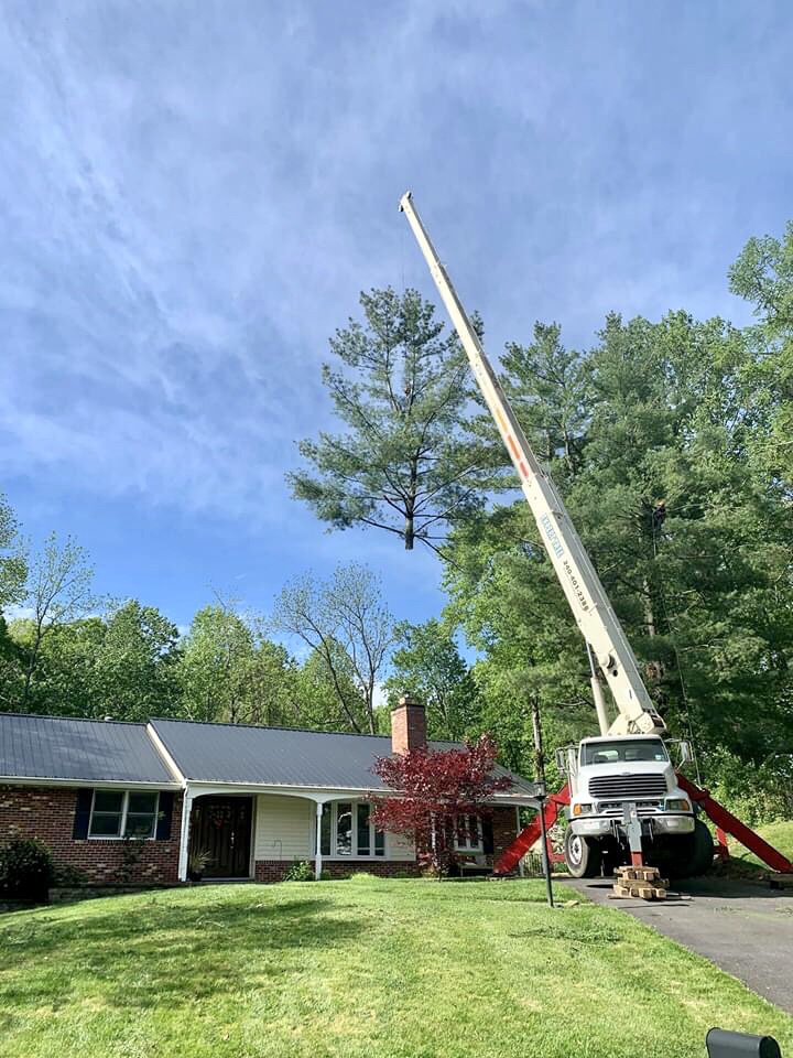 Expert Tree - tree service in Ashton, MD