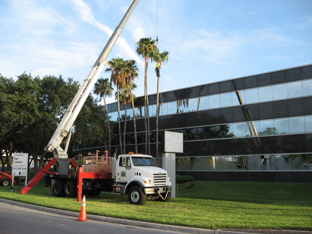 Arborist Aboard - tree service in Odessa, FL