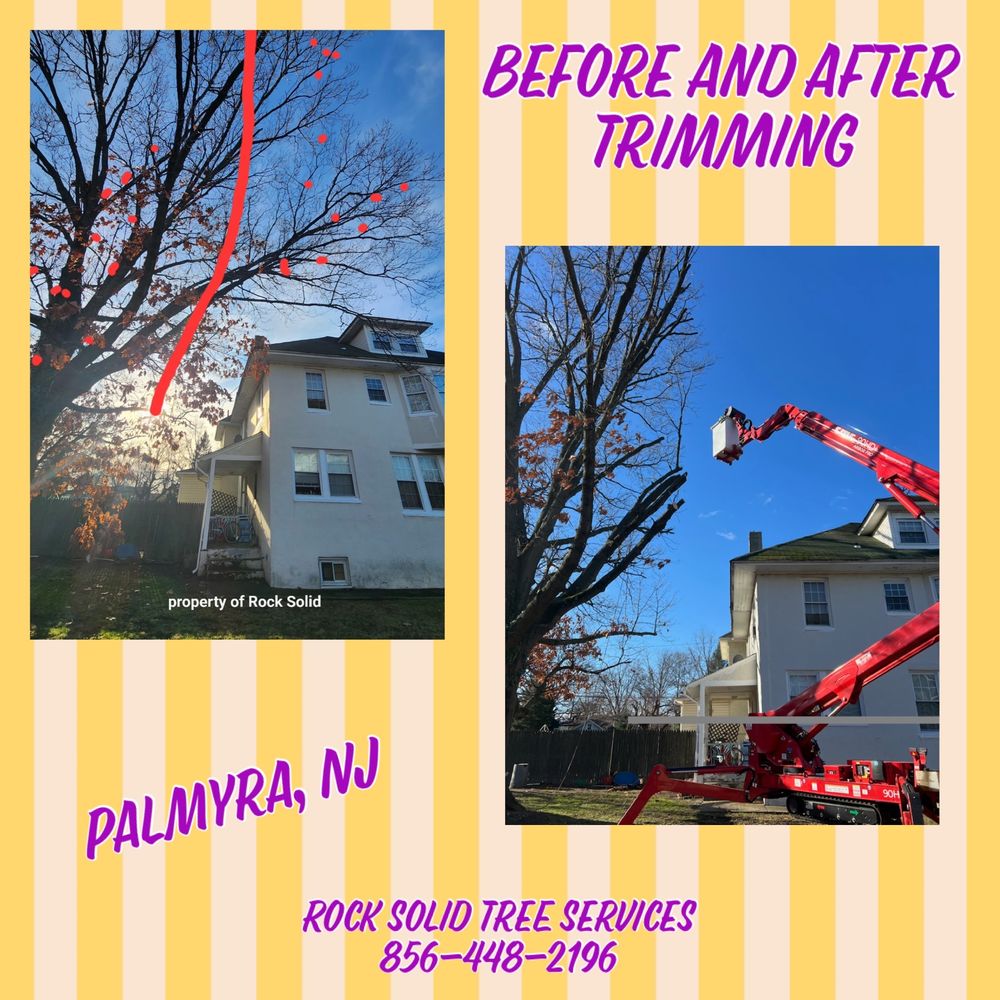 Rock Solid Tree Services and More - tree service in Palmyra, NJ