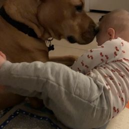 Cooper with his human brother, who is super gentle with! Cooper with his human brother, who is super gentle with!