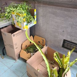 San Diego Public Library-Rancho Peñasquitos Library - Garden Exchange