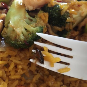 Number One Chinese Kitchen - Chinese Near Me - Suffern, New York