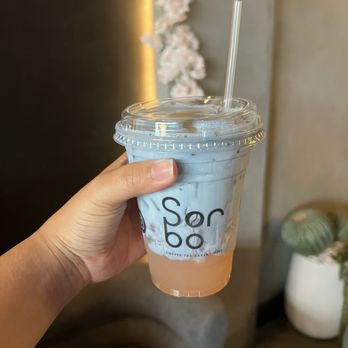 Sorbo - blue momo latte - Wine Bars Near Me - Wesley Chapel, Florida
