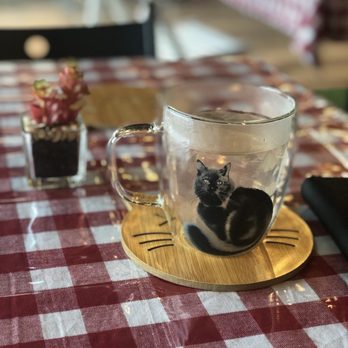 Z3 Specialty Coffee - Sakura Tea - Coffee & Tea Near Me - Kanata, Ontario