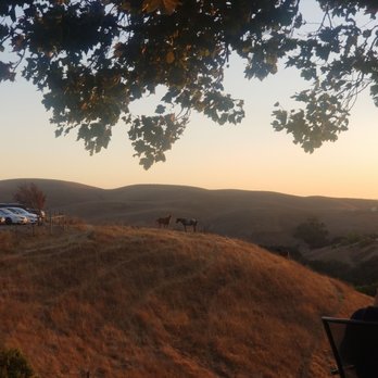 Big Dog Vineyards - Venues & Event Spaces Near Me - Milpitas, California