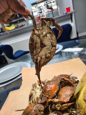Conrad's Crabs & Seafood Market -Parkville,MD by null