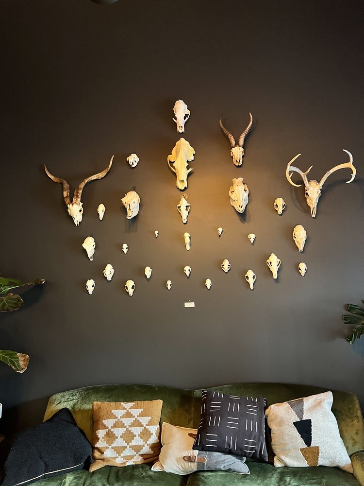 As Above, So Below Distillery