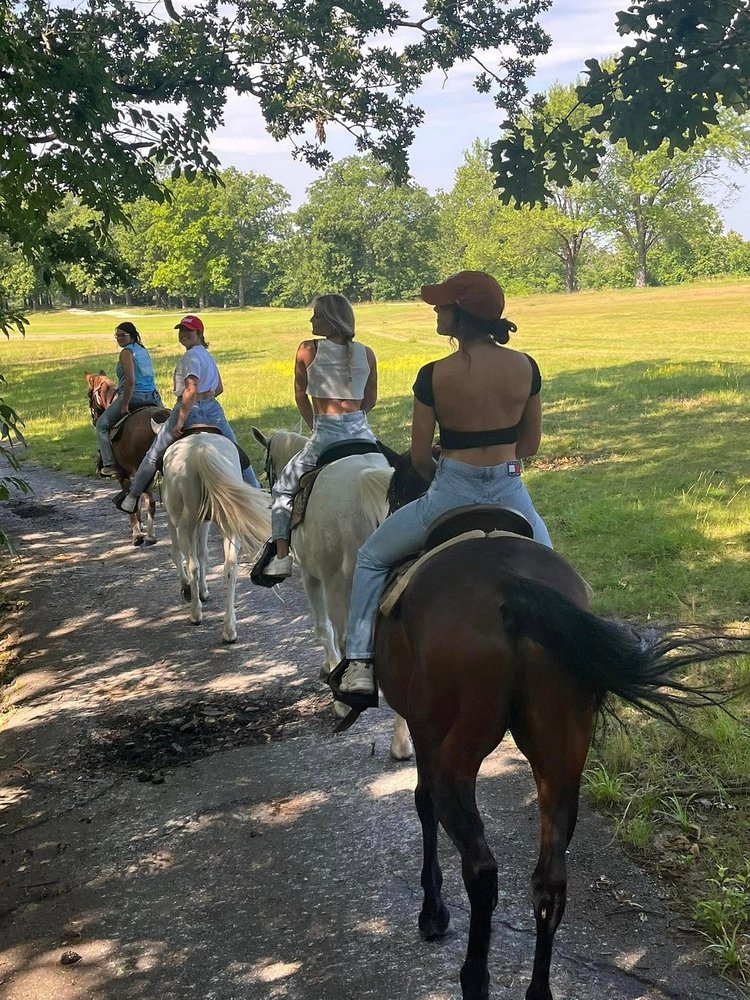 Paradise Horseback Riding - equestrian in Tampa Bay, FL
