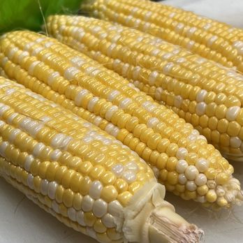 Carniceria Monte Alban - The most perfect corn - Meat Shops Near Me - Pico Rivera, California