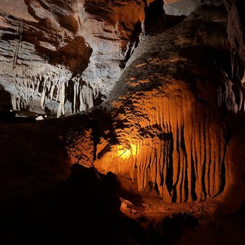Forbidden Caverns - The amazing growth - Tours Near Me - Sevierville, Tennessee