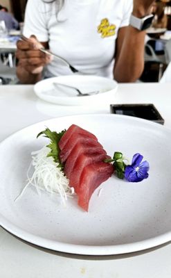 MF Lobster & Ceviche by null