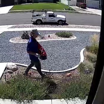 Peak Pest Control - Pest Control Near Me - Pleasant View, Utah Peak Pest Control - Pest Control Near Me - Pleasant View, Utah
