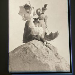 Museu Romântico da Quinta da Macieirinha - Cool image