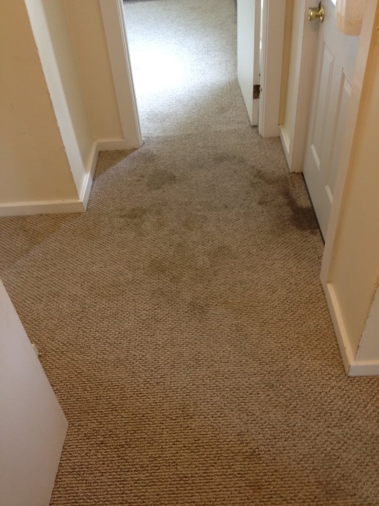 CLEANER APPROACH CARPET & UPHOLSTERY CLEANING Updated June 2024