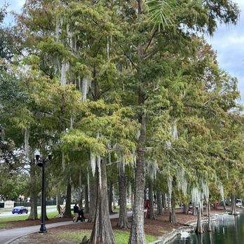 Lake Eola Park - Tree-lined lake that's a unique break in the heart of downtown Orlando - Parks Near Me - Orlando, Florida