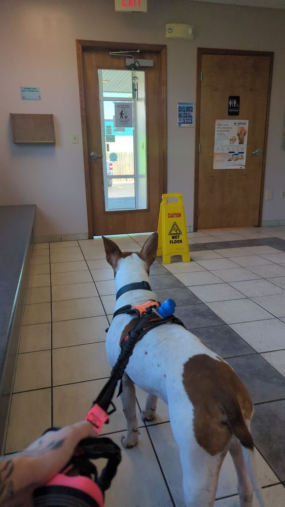 SOUTHTOWNS ANIMAL HOSPITAL Updated September 2024 154 Orchard Park