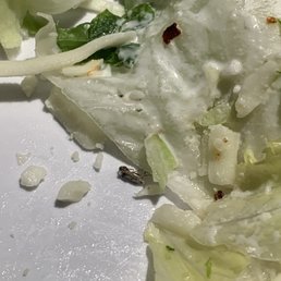 Garden Salad