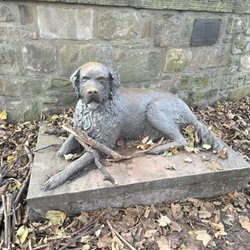 Parish Church Of St Cuthbert - A dog named Bum from San Diego - The Canine Connection