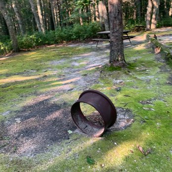 Cedar Creek Campground - empty site - Campgrounds Near Me - Bayville, New Jersey