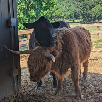 Crandall Bowles Children's Farm - Attraction Farms Near Me - Fort Mill, South Carolina