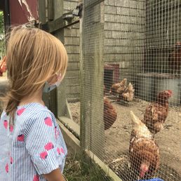 She LOVED the chickens! She LOVED the chickens!