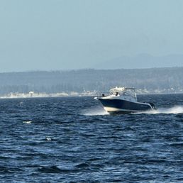 View from the beach.