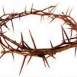 Stitched in Faith - Machine embroidery designs at Stitchedinfaith.com