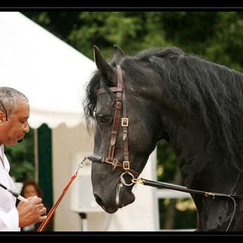 Jean-Charles Andrieux - Arts & Entertainment Near Me - Cadenet, 84 Jean-Charles Andrieux - Arts & Entertainment Near Me - Cadenet, 84