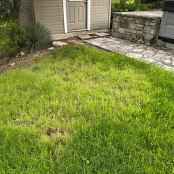 Texas Pool Medic - Grass killed by salt water from salt water pool.