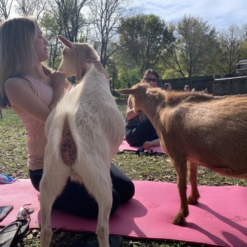Little Peeps Farmer for a Day - Yoga Near Me Little Peeps Farmer for a Day - Yoga Near Me
