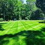 Photo of Green Line Landscape
