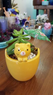 Ephemera - Plants, Terrariums and Comics by null