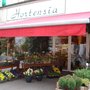 Photo of Hortensia
