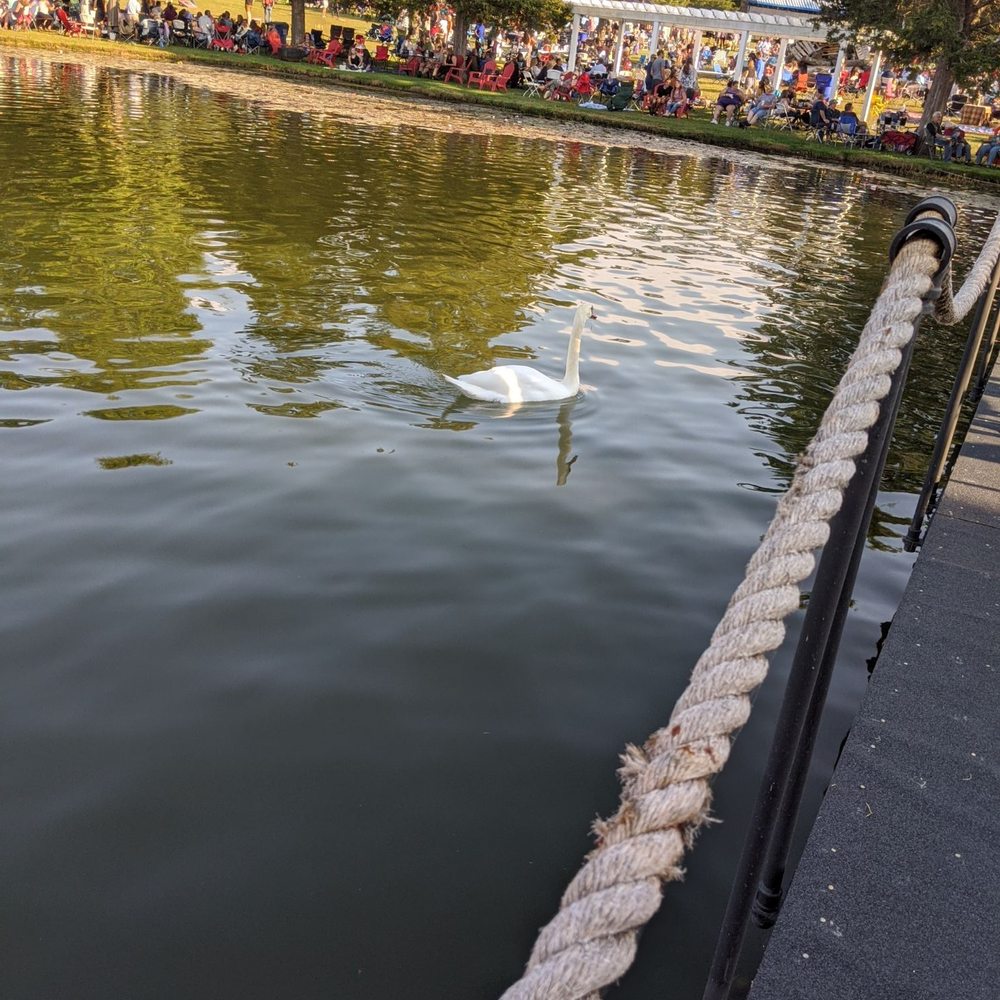 Cedar Lake Cellars - Cedar Lake Cellars: blue gill filled ponds and a couple swans - Venues & Event Spaces Near Me - Wright City, Missouri