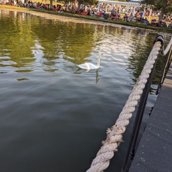 Cedar Lake Cellars - Cedar Lake Cellars: blue gill filled ponds and a couple swans - Venues & Event Spaces Near Me - Wright City, Missouri